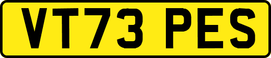 VT73PES