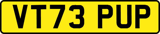 VT73PUP
