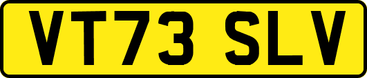 VT73SLV