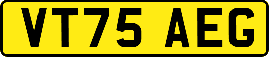 VT75AEG