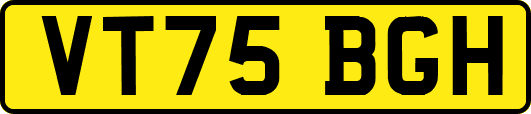 VT75BGH