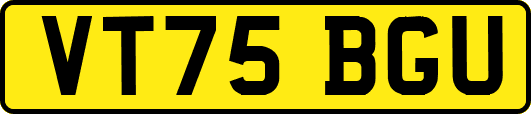 VT75BGU
