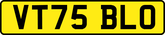 VT75BLO