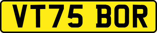 VT75BOR