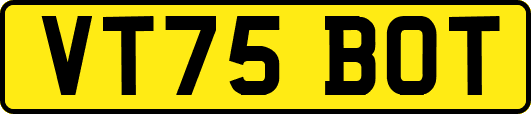 VT75BOT