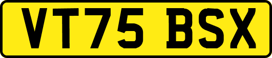 VT75BSX