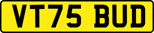 VT75BUD