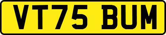 VT75BUM