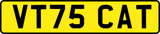 VT75CAT