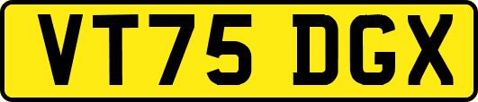 VT75DGX