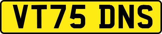 VT75DNS