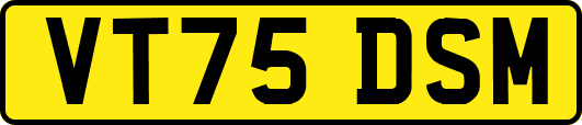 VT75DSM