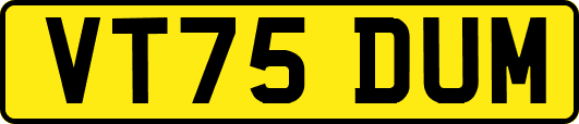 VT75DUM