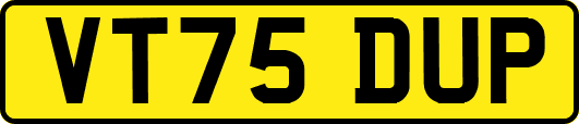 VT75DUP