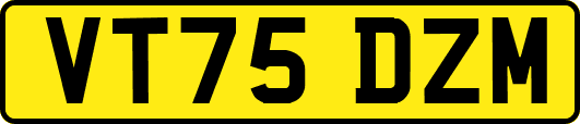 VT75DZM
