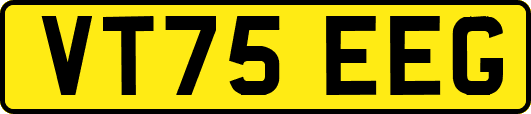VT75EEG