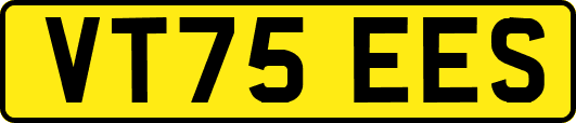 VT75EES