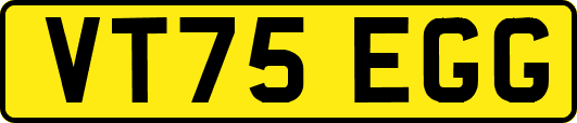 VT75EGG