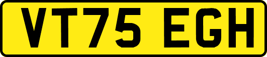 VT75EGH