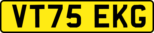 VT75EKG