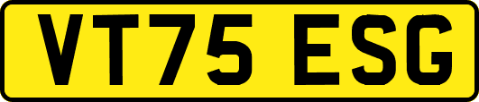VT75ESG
