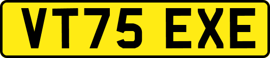 VT75EXE