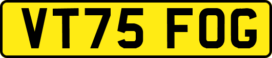 VT75FOG