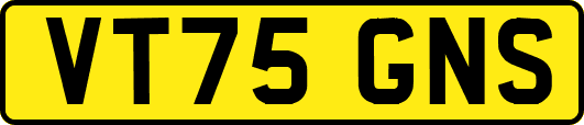 VT75GNS
