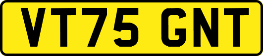 VT75GNT
