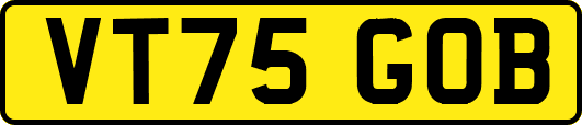 VT75GOB