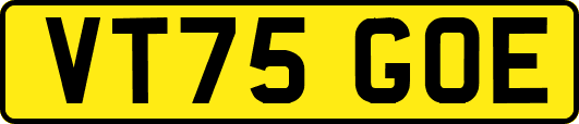VT75GOE