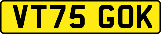 VT75GOK