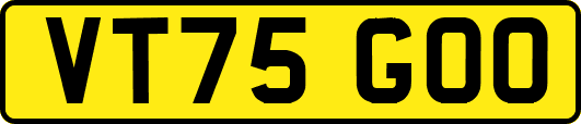 VT75GOO