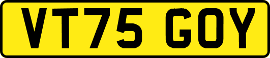 VT75GOY