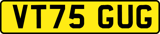 VT75GUG