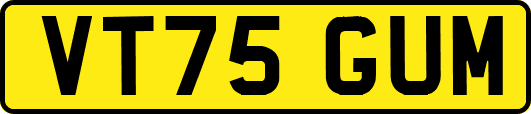 VT75GUM