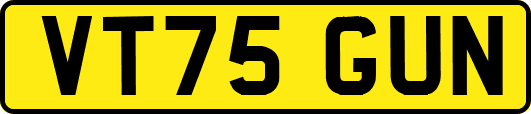 VT75GUN