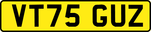VT75GUZ