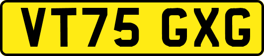 VT75GXG