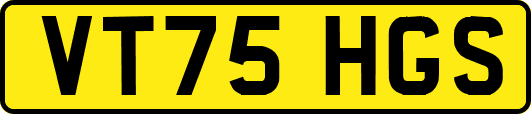 VT75HGS