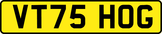 VT75HOG