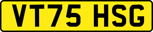 VT75HSG