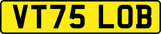 VT75LOB