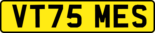 VT75MES