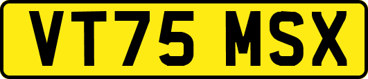 VT75MSX