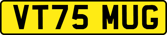 VT75MUG