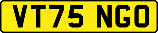 VT75NGO