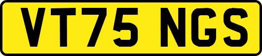 VT75NGS