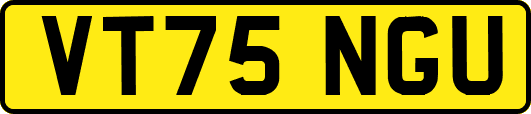 VT75NGU