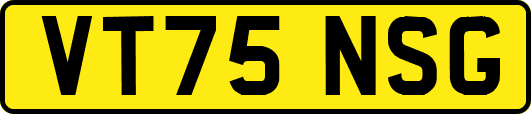 VT75NSG